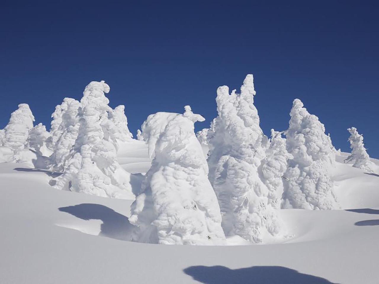 Yachi Onsen Hotel Tovada Kültér fotó